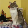 Отзыв от Эльвира Назарова